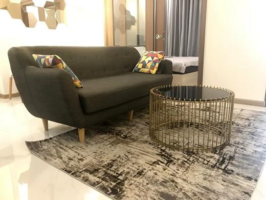 apartment for rent in HCMC BT105L1553 Vu (5)